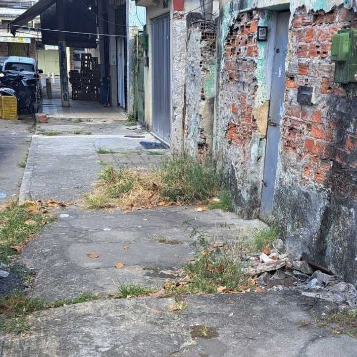 Imagem da publicação