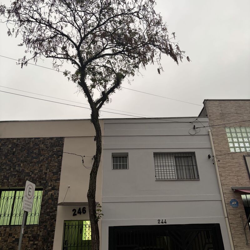 Imagem da publicação