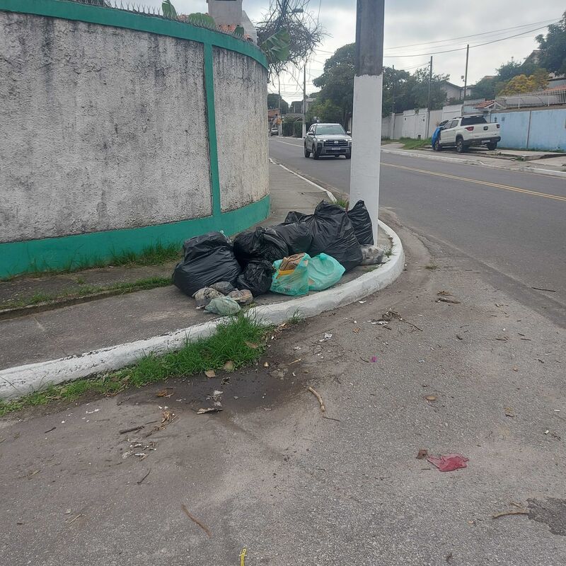 Imagem da publicação