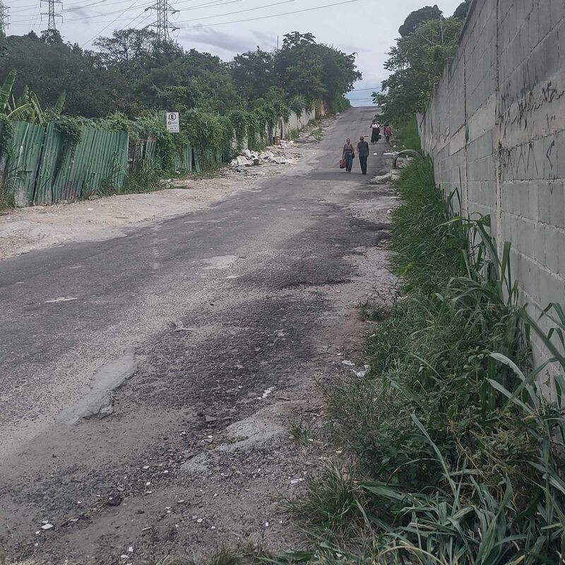 Imagem da publicação