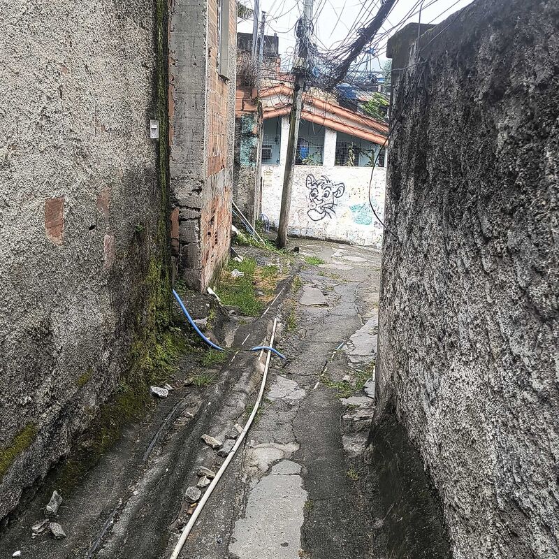 Imagem da publicação