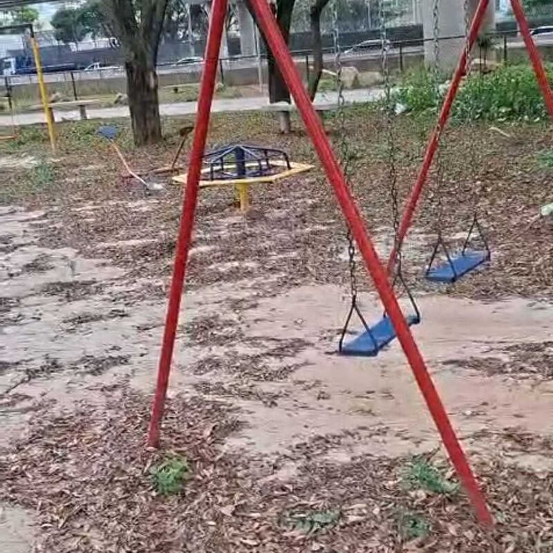 Imagem da publicação