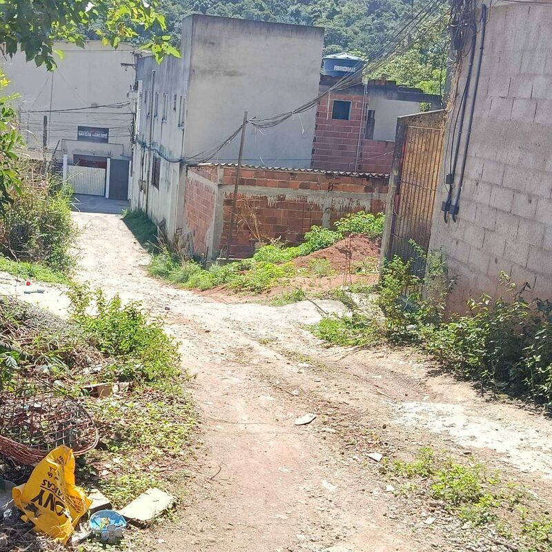Imagem da publicação