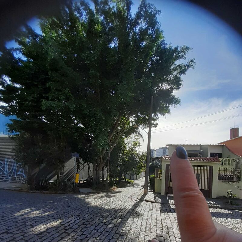 Imagem da publicação