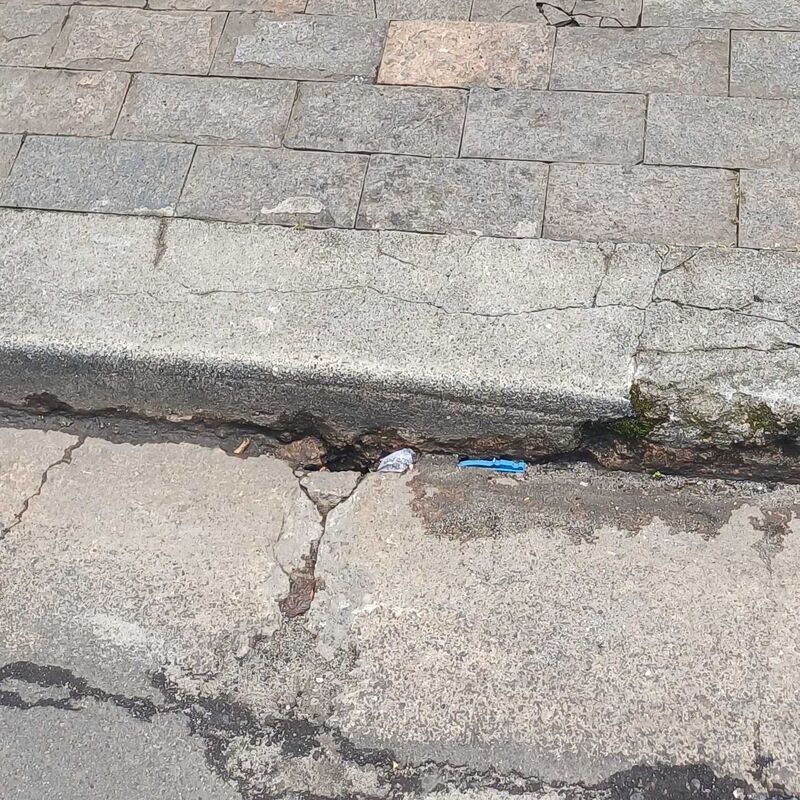 Imagem da publicação