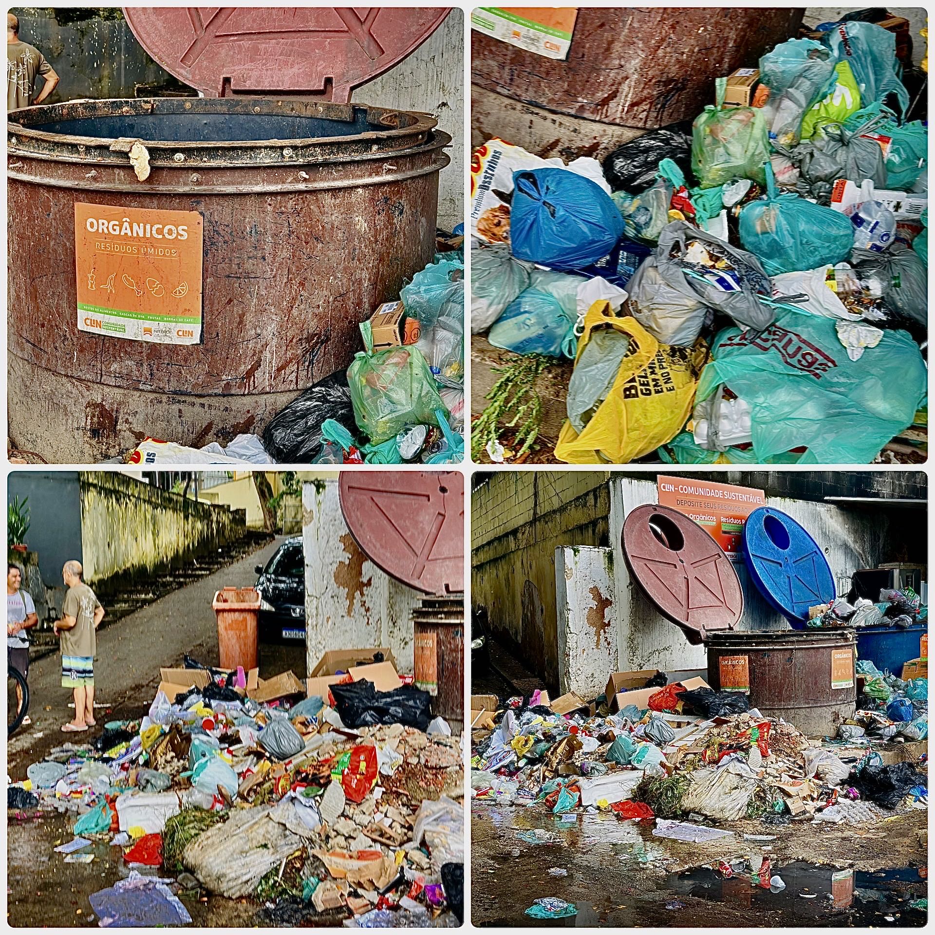 Imagem da publicação