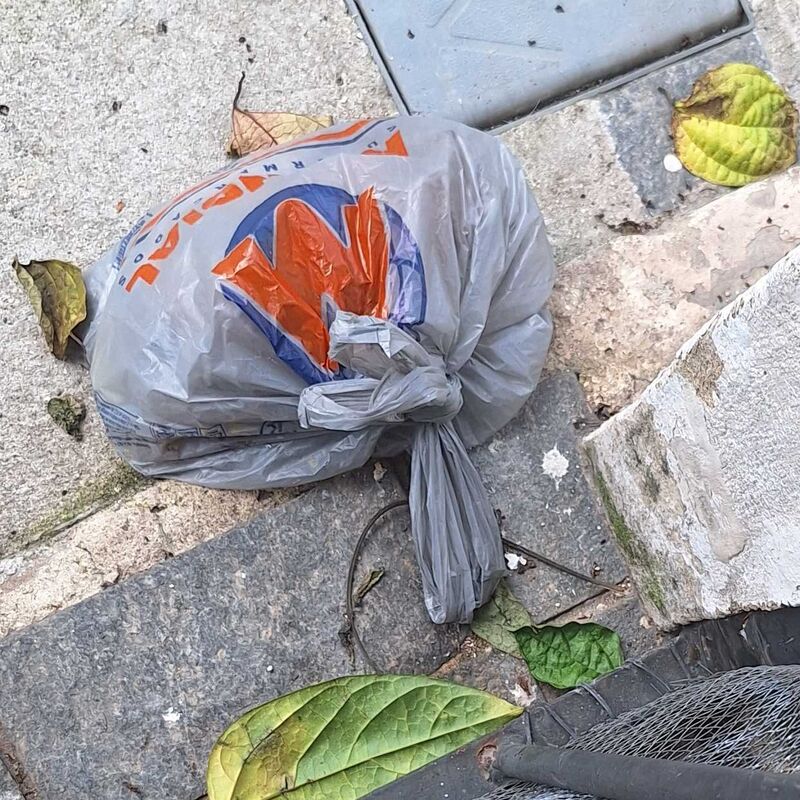 Imagem da publicação