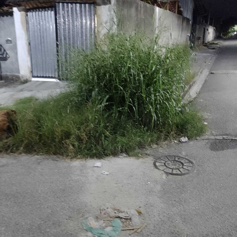 Imagem da publicação