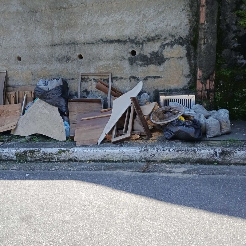 Imagem da publicação