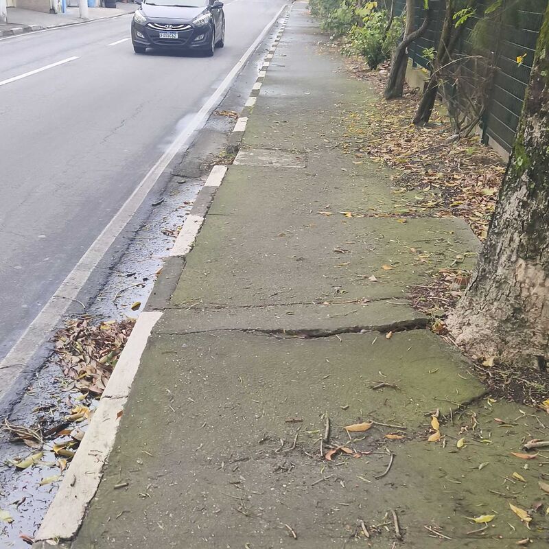 Imagem da publicação