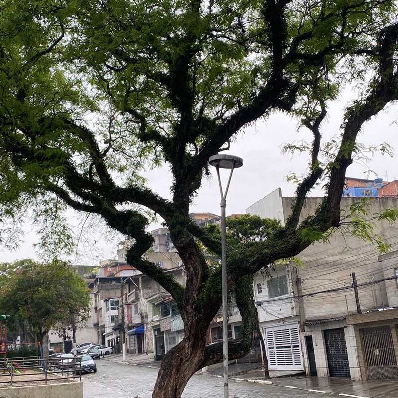 Imagem da publicação