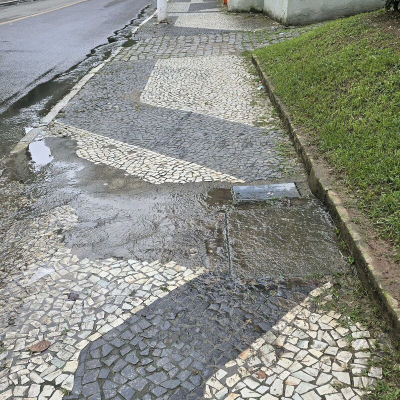 Imagem da publicação