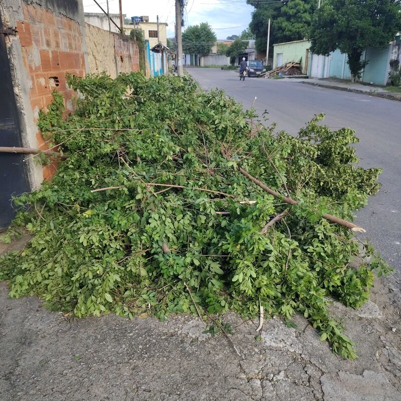 Imagem da publicação