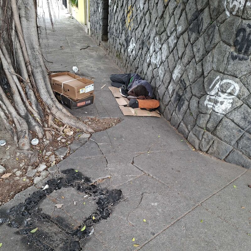 Imagem da publicação