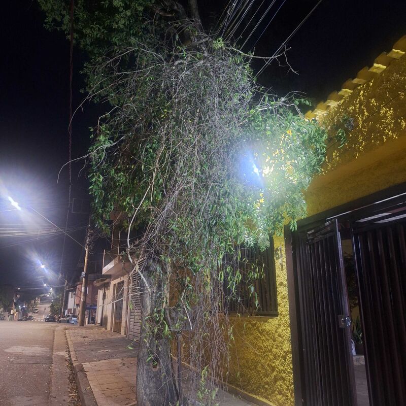 Imagem da publicação