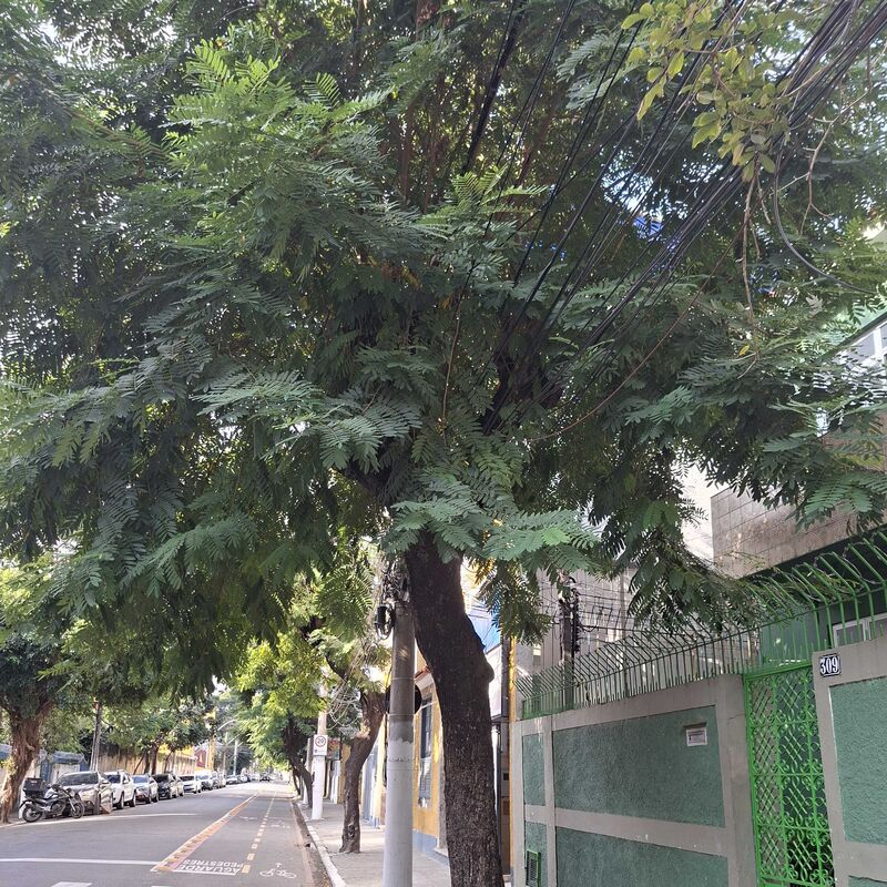 Imagem da publicação