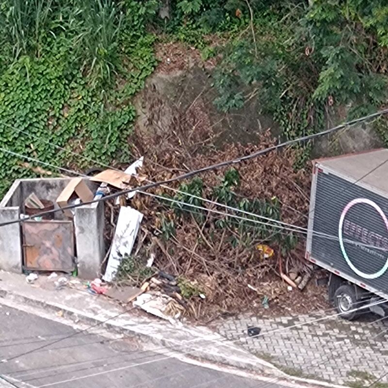 Imagem da publicação