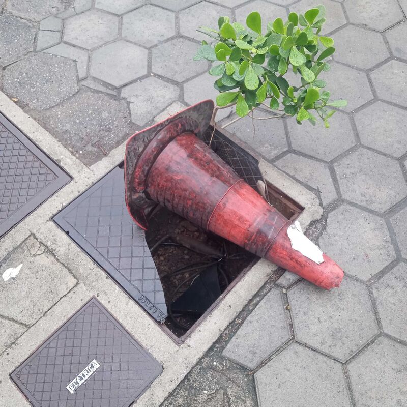 Imagem da publicação