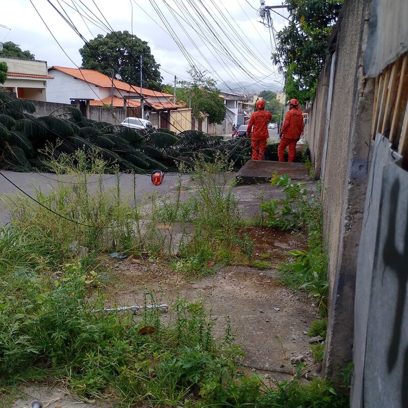 Imagem da publicação