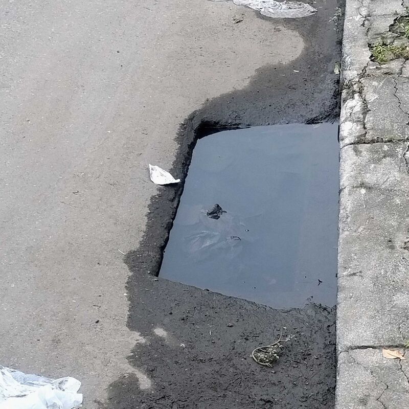 Imagem da publicação