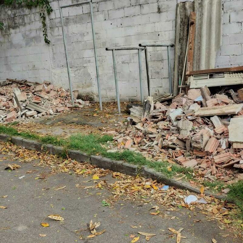 Imagem da publicação