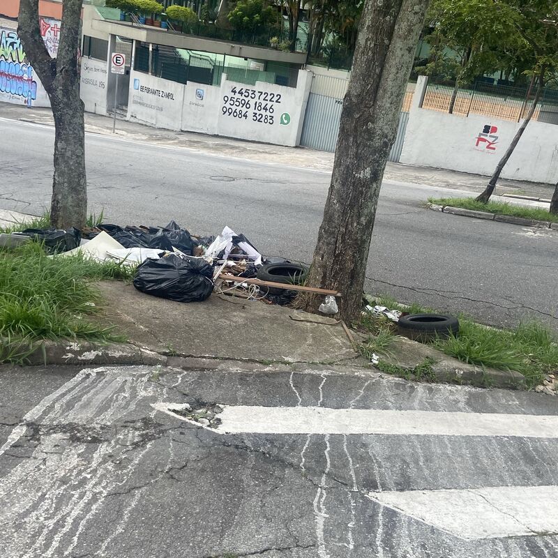 Imagem da publicação