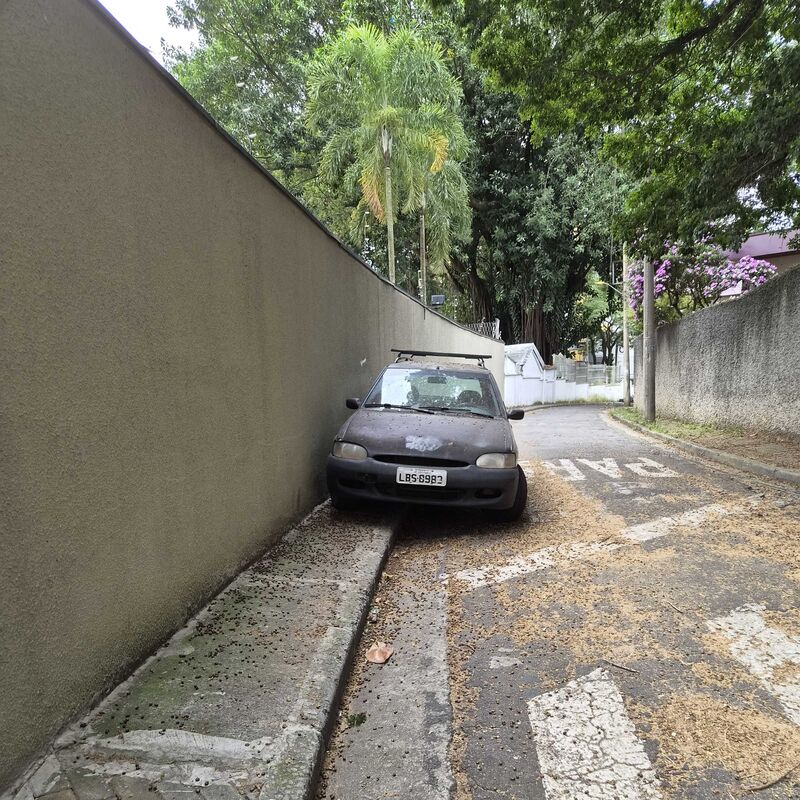 Imagem da publicação