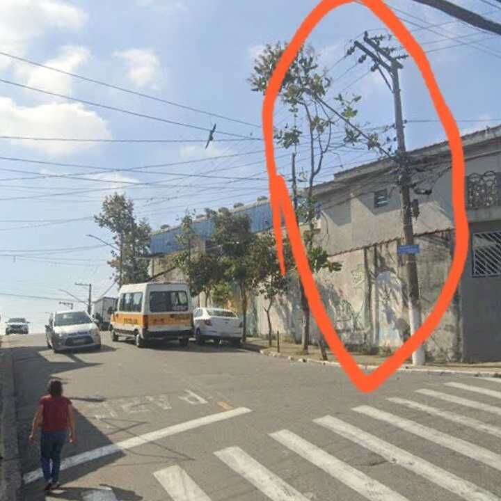 Imagem da publicação