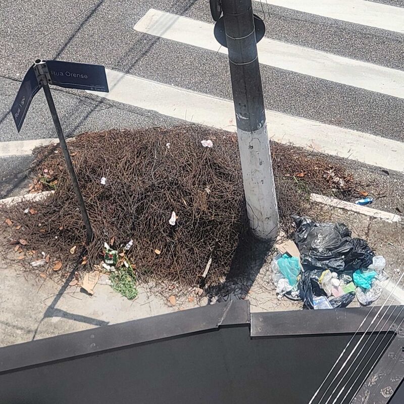 Imagem da publicação