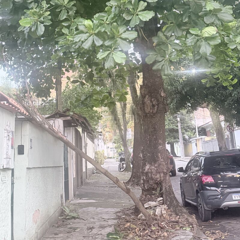 Imagem da publicação