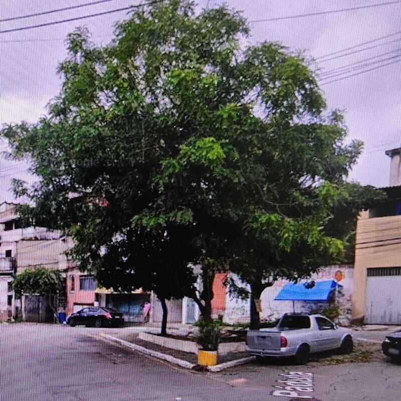 Imagem da publicação