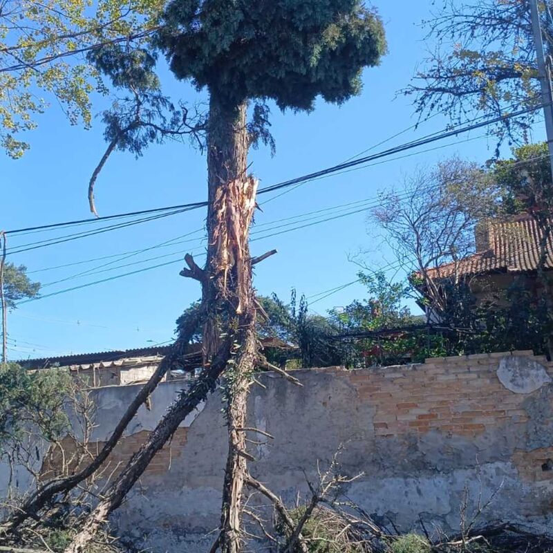 Imagem da publicação