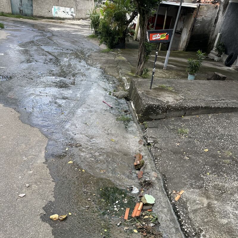 Imagem da publicação