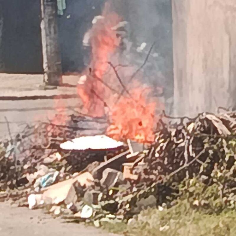 Imagem da publicação