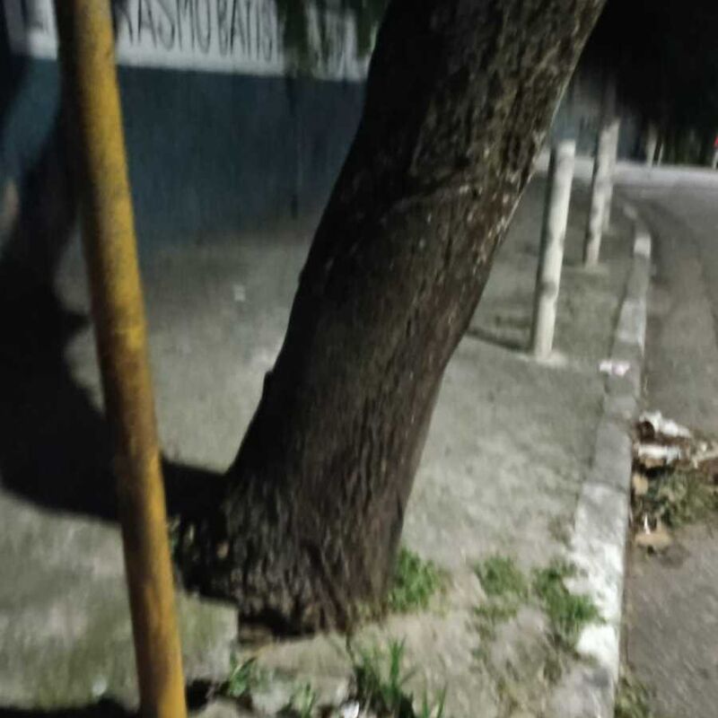 Imagem da publicação