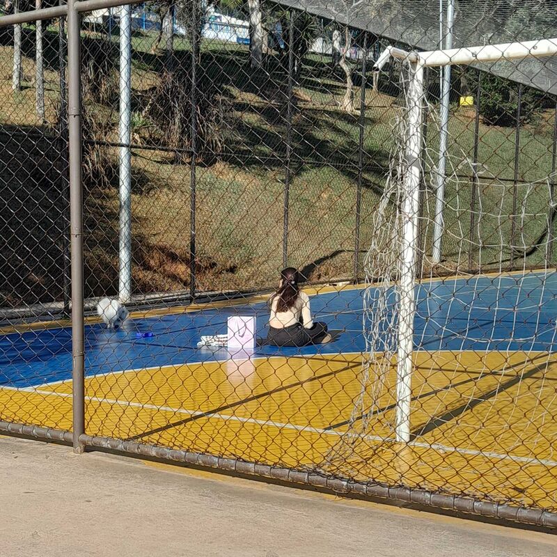 Imagem da publicação