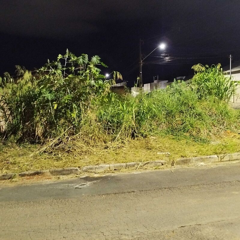 Imagem da publicação