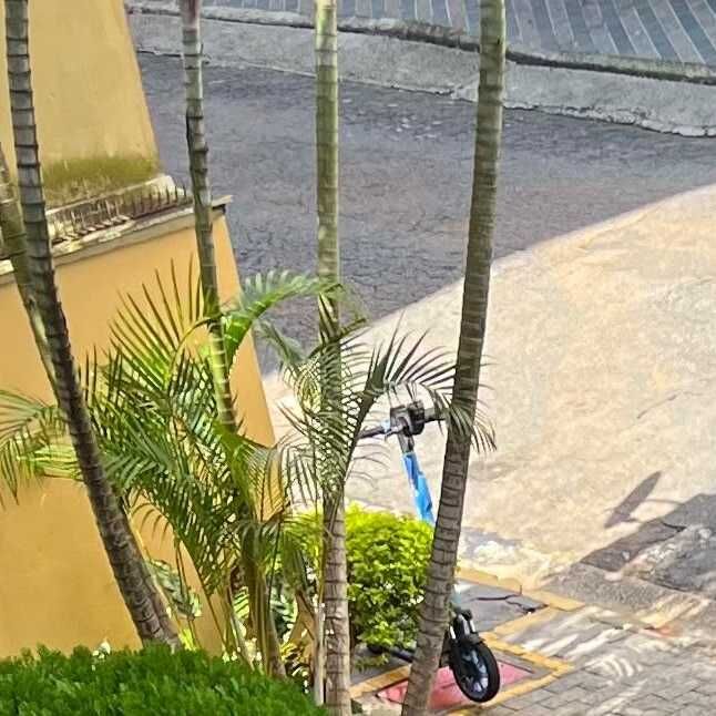 Imagem da publicação