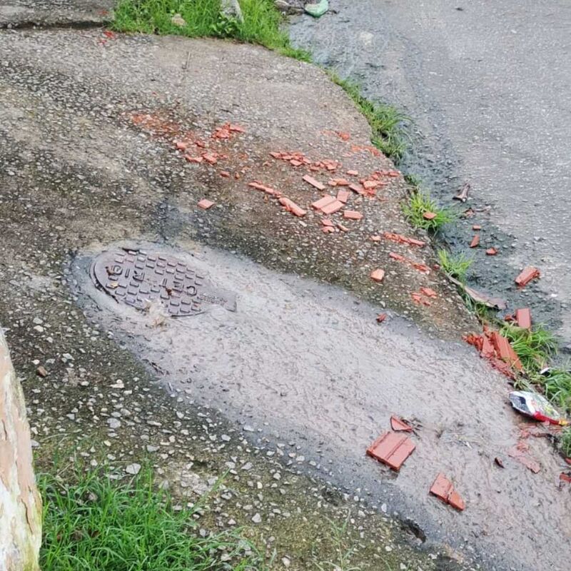 Imagem da publicação