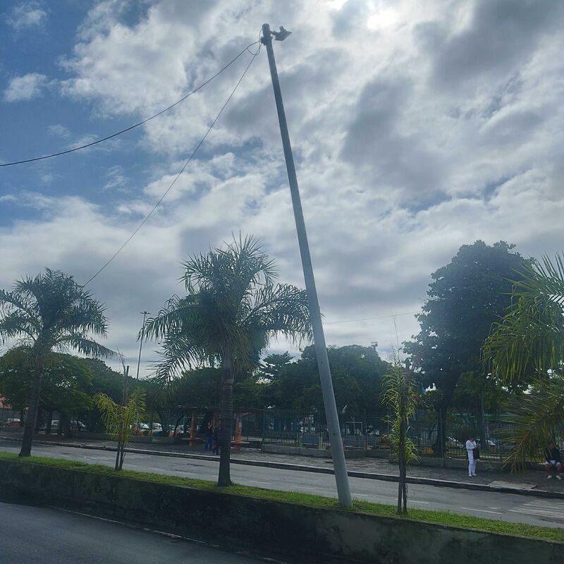 Imagem da publicação