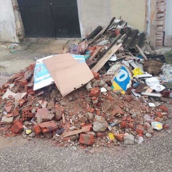 Imagem da publicação