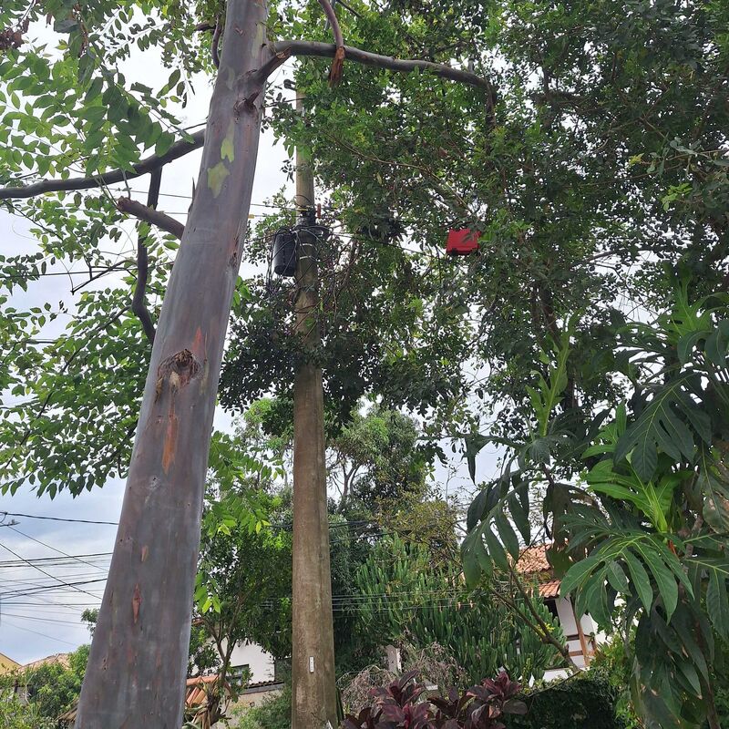 Imagem da publicação