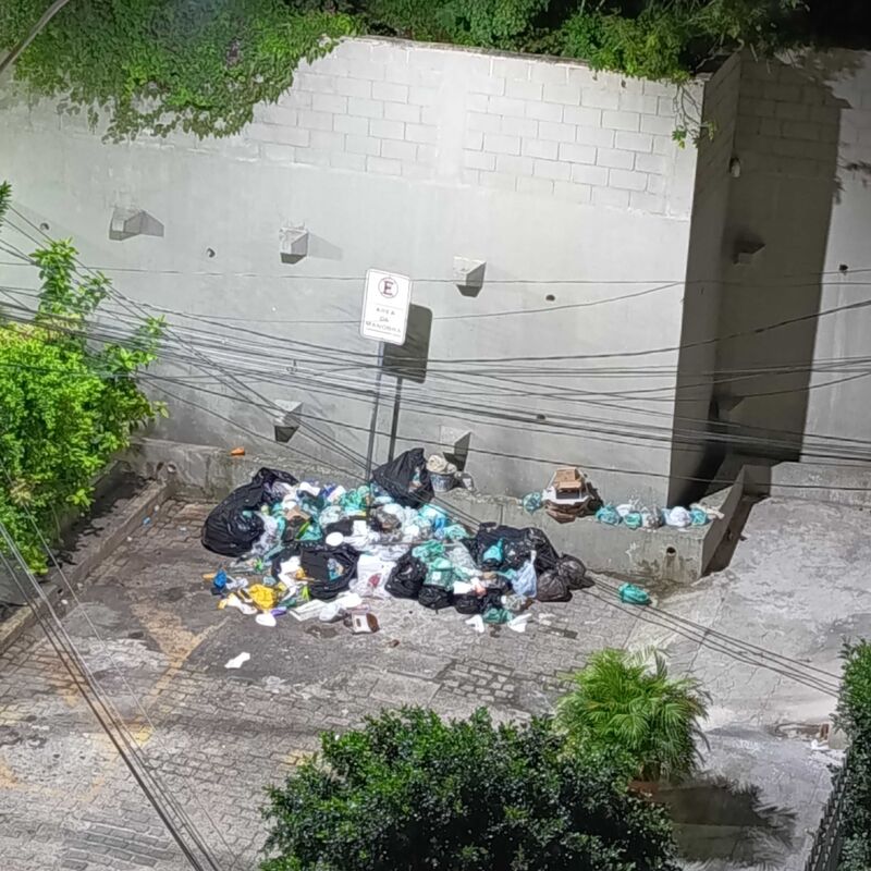 Imagem da publicação