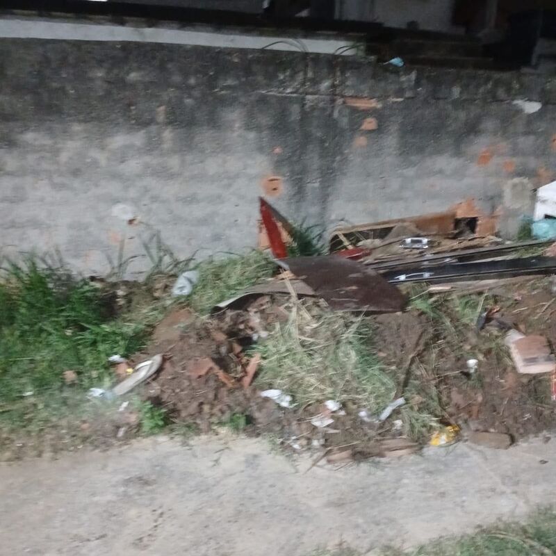 Imagem da publicação