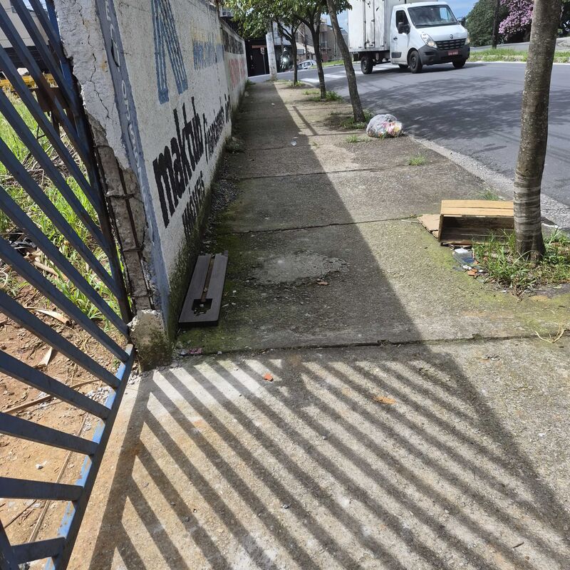 Imagem da publicação