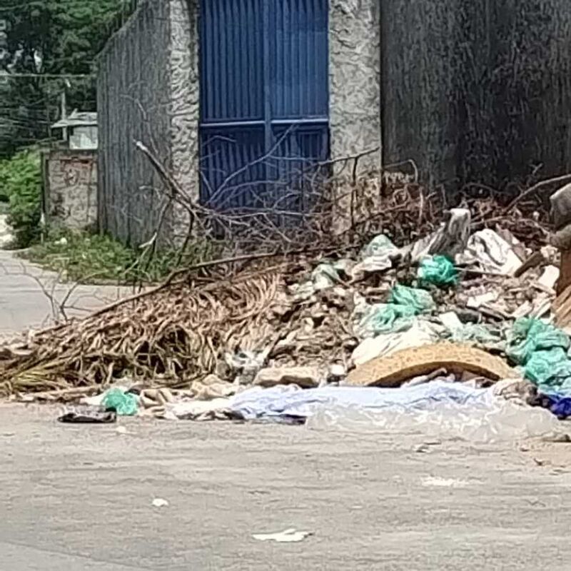 Imagem da publicação