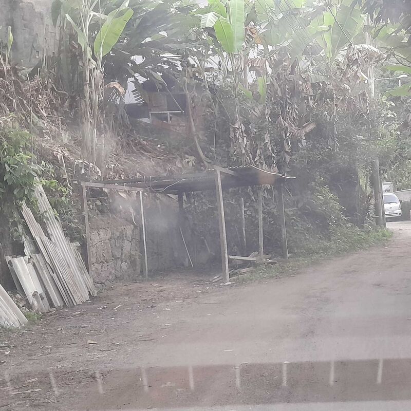 Imagem da publicação