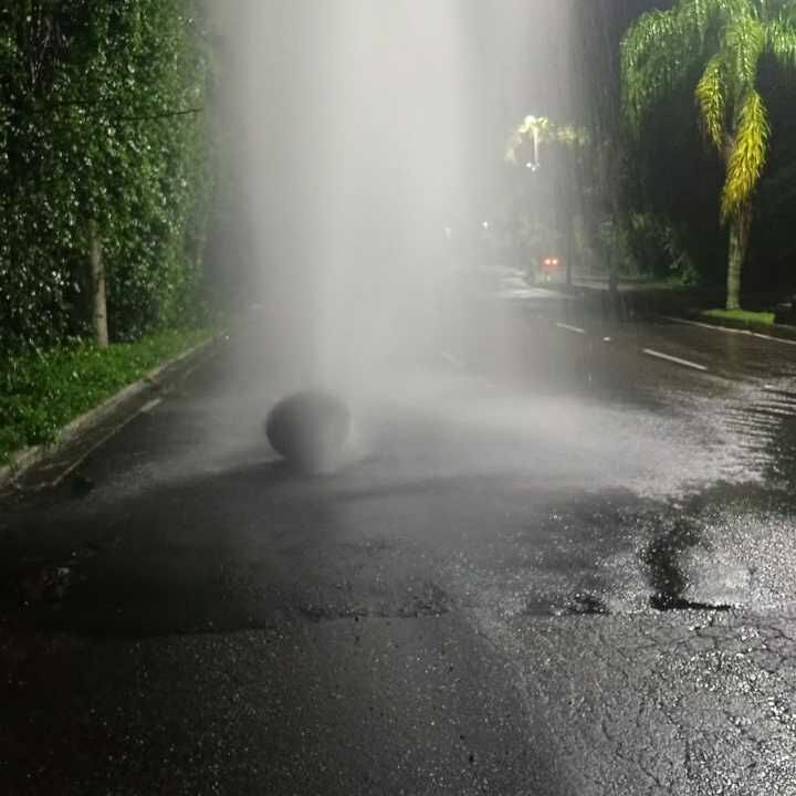 Imagem da publicação