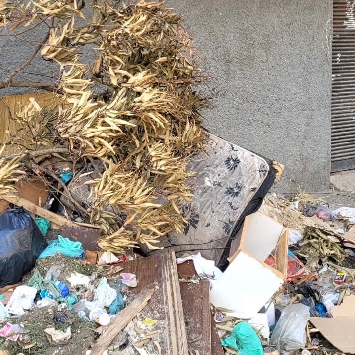 Imagem da publicação