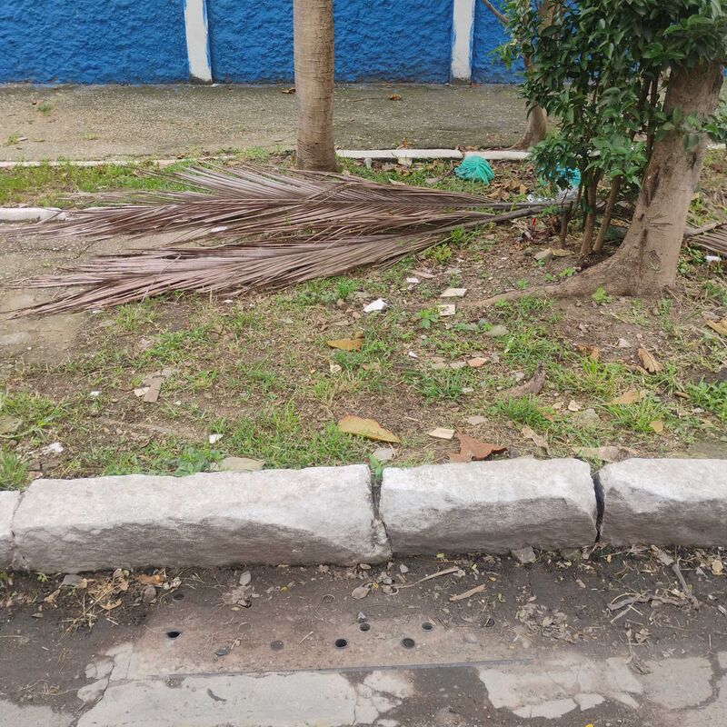 Imagem da publicação